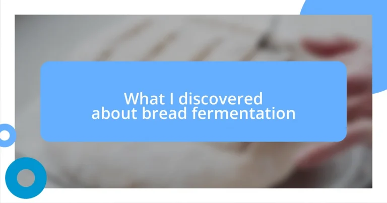 What I discovered about bread fermentation